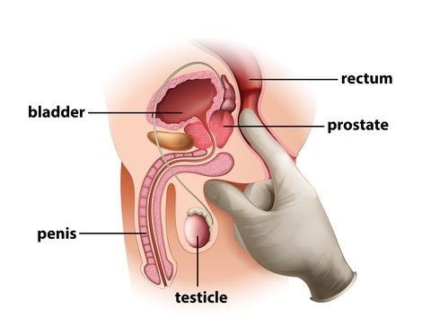 Prostate Milking Toys